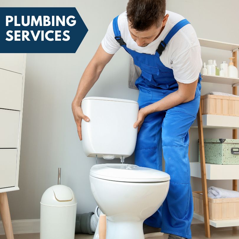 Plumbing Company in Higgins Lake, MI